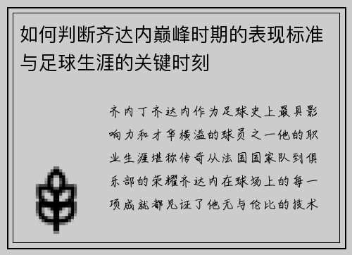 如何判断齐达内巅峰时期的表现标准与足球生涯的关键时刻 如何判断齐达内巅峰时期的表现标准与足球生涯的关键时刻